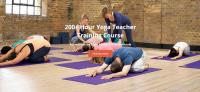 Intelligent Yoga Teacher Training image 3